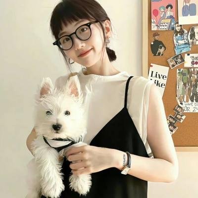 间谍兔洞第一季
