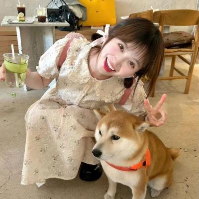 铃木家的谎言
